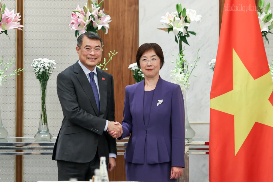Ảnh 3 bài 8.png